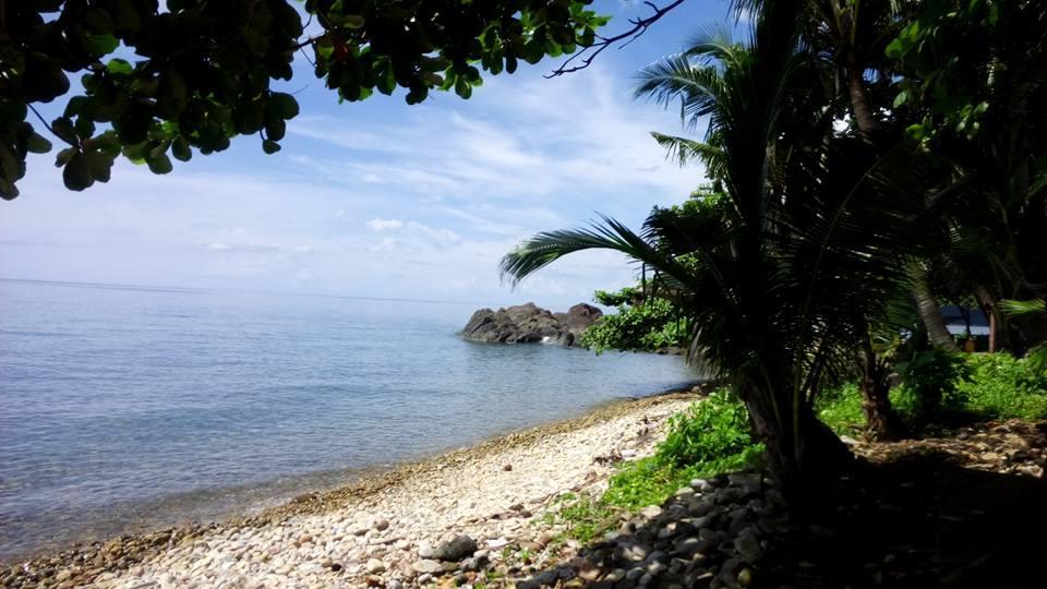 Paradise Palms Koh Chang Exteriör bild
