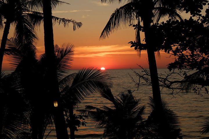 Paradise Palms Koh Chang Exteriör bild